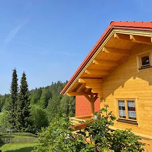 Toni Mit Sauna By Interhome Spiegelau